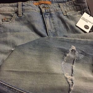 Joe Jeans Collectors Edition